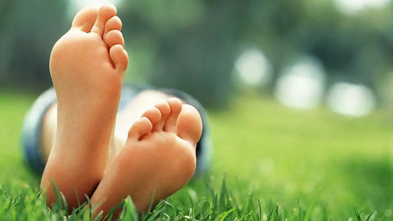 The Role Of Nutrition In Foot Health