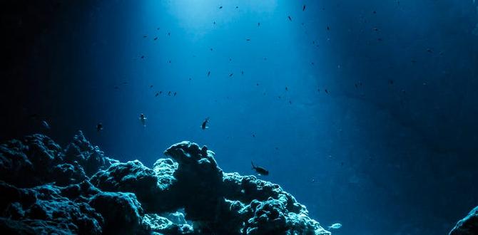 deep heel cup insoles basics deep heel cup insoles basics