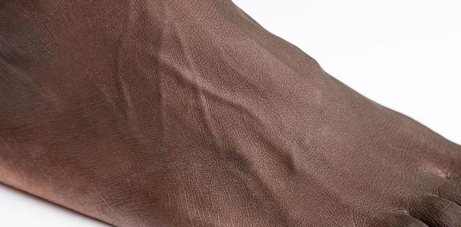 foot health during pregnancy foot health during pregnancy