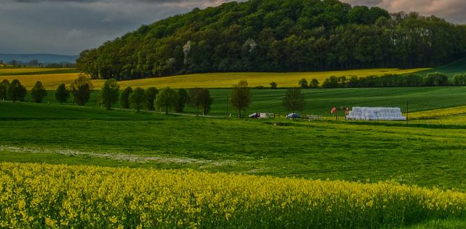 natural foot deodorant options natural foot deodorant options